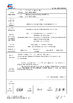 China Hunan Vict-Sailing Power New Energy Co.,LTD certification