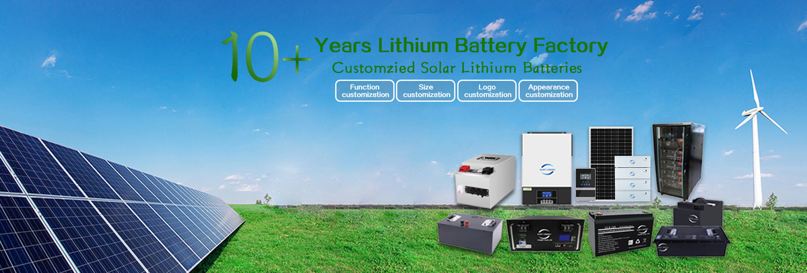 Lithium EV-batterij